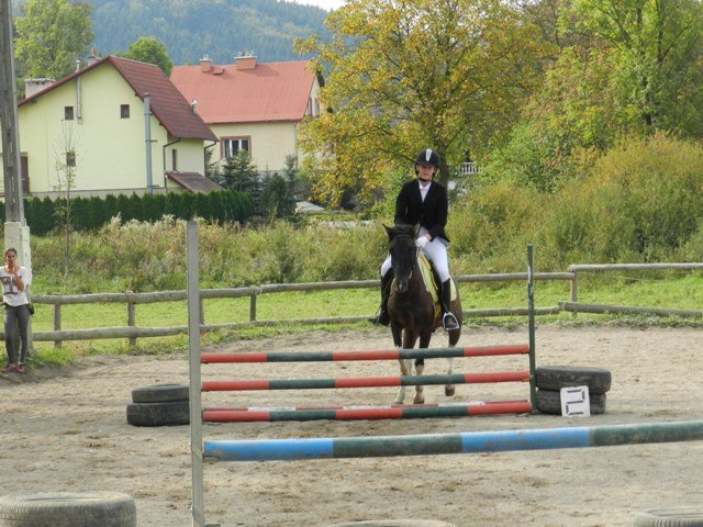 Babie Lato 2016